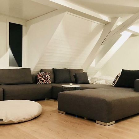 Luxury Penthouse Apartment Zürich Buitenkant foto