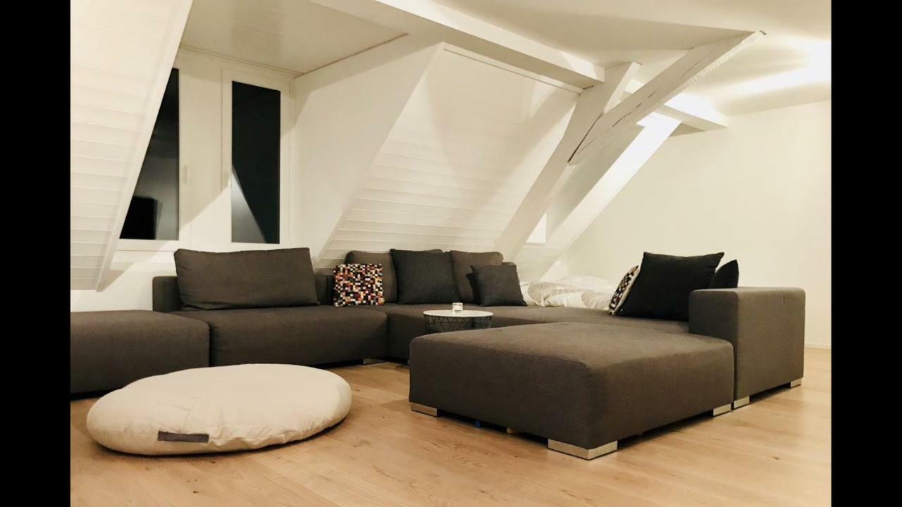 Luxury Penthouse Apartment Zürich Buitenkant foto